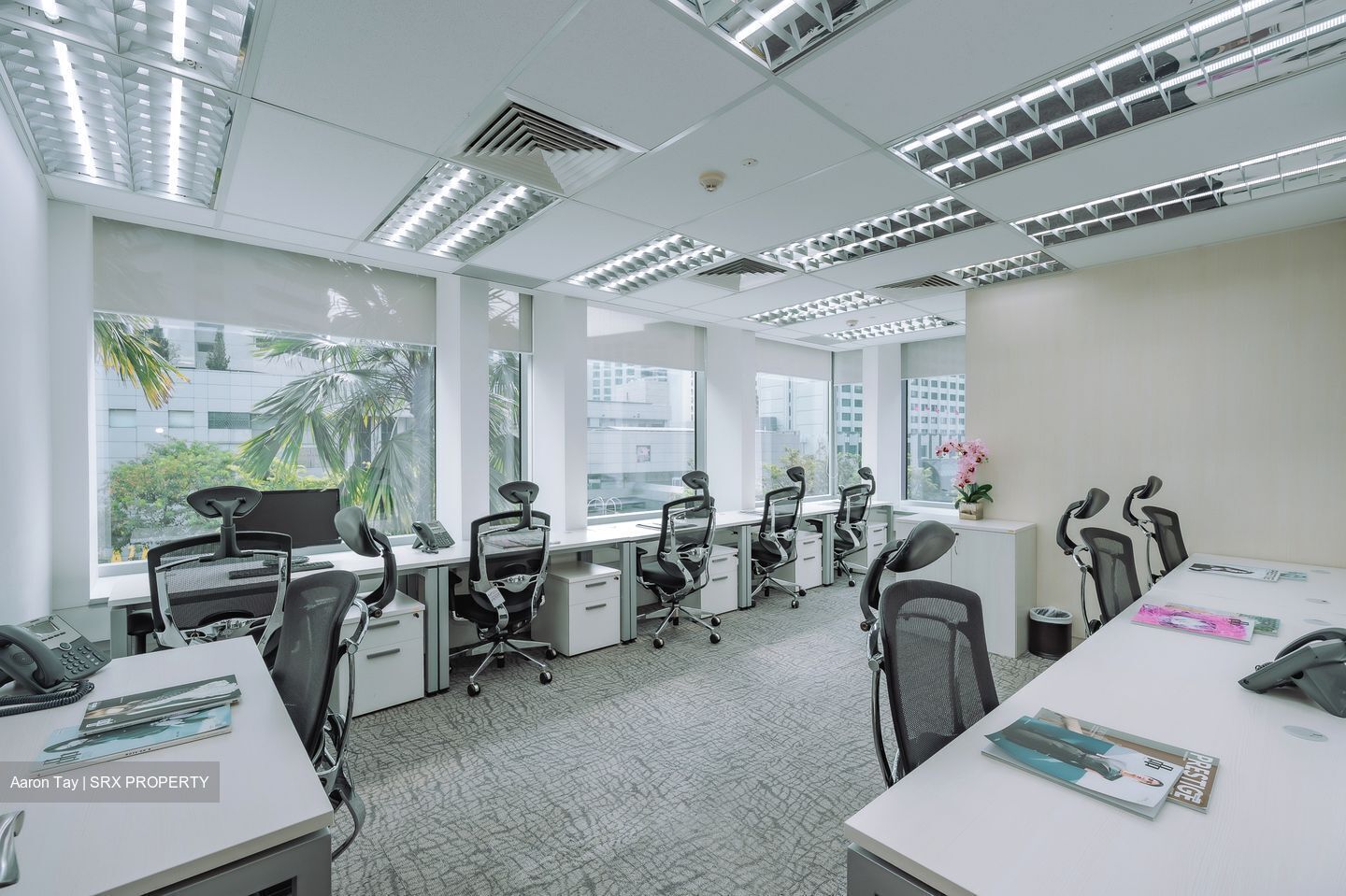 Thong Teck Building (D9), Office #552879861